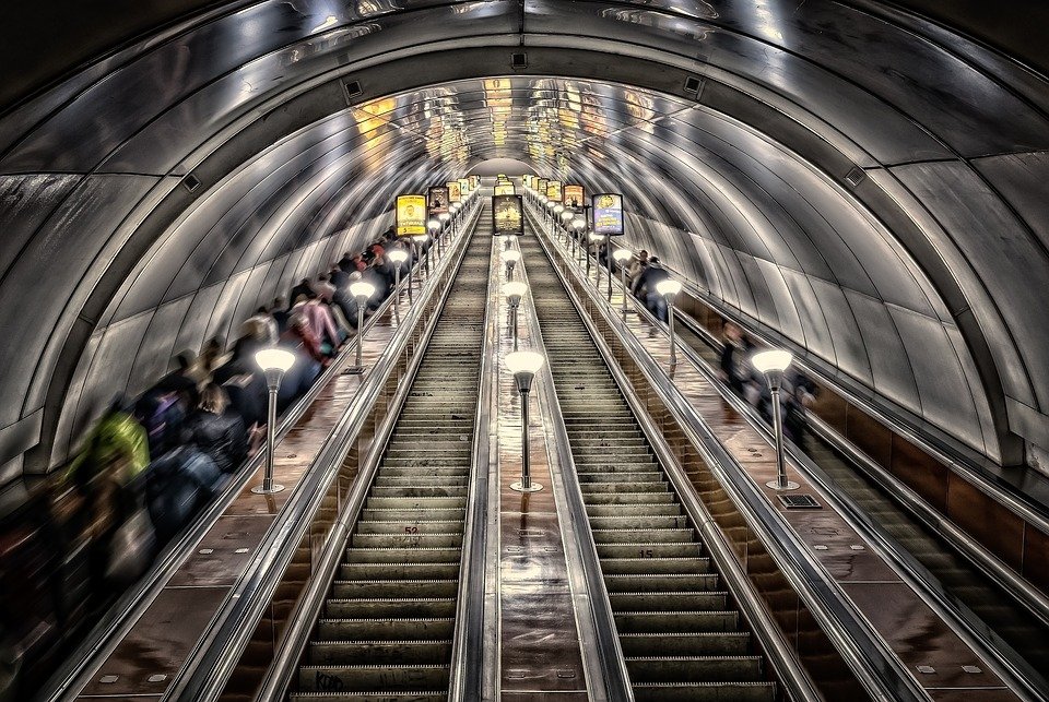 Фото: Pixabay