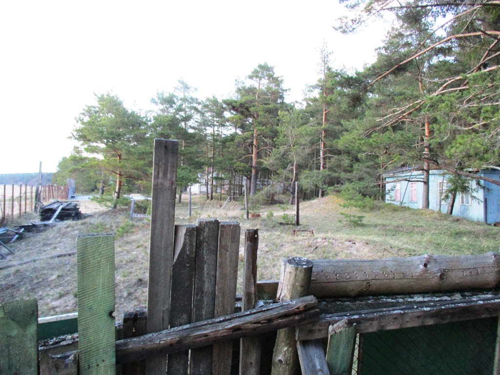 В реконструкцию лагеря «Чайка» в Сосновом Бору инвестируют почти миллиард рублей 