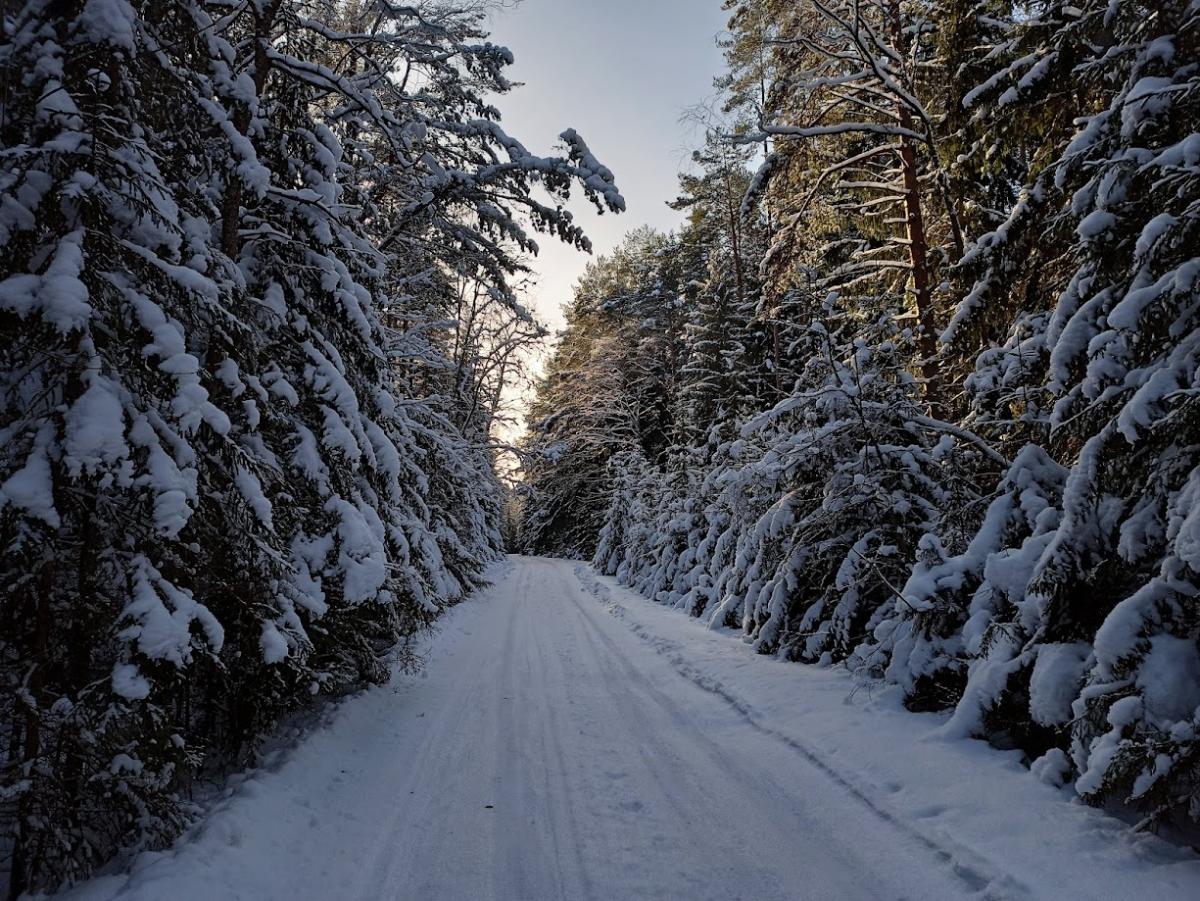 Фото: архив газеты 'Маяк'