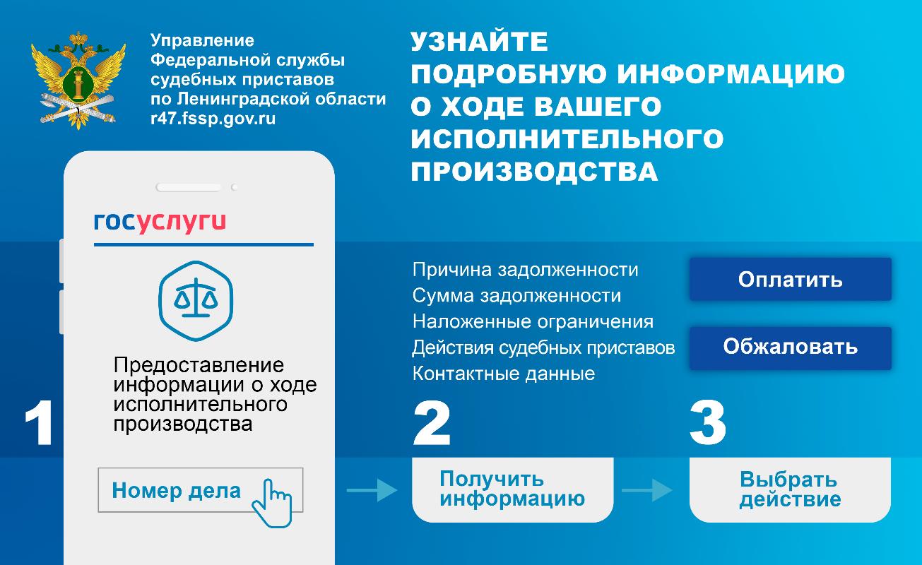 О долгах можно узнать на Госуслугах