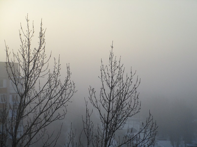 Сосновый Бор накрыл удивительно густой морозный туман