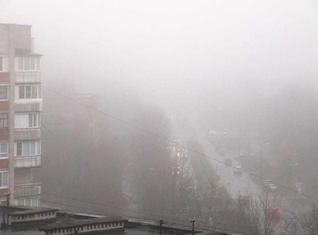 Фото Нины Князевой