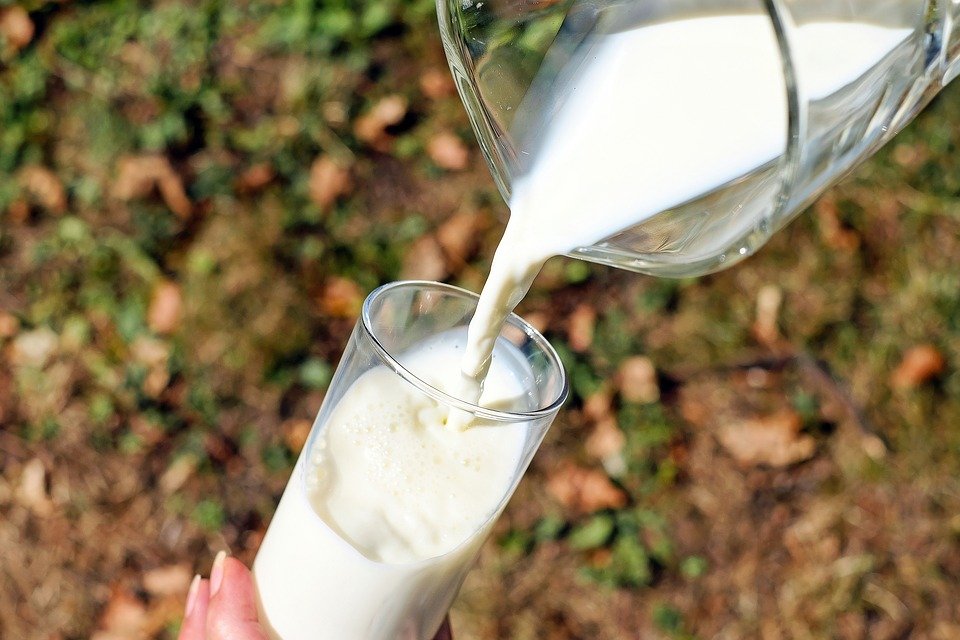 Как изменит молочную отрасль маркировка «Честный знак». Фото: Pixabay