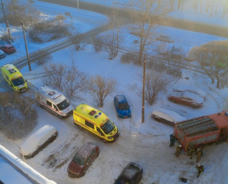 Фото Катерина Алексеева/ВК