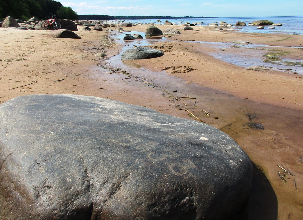 На берегу Финского залива снова появился «исчезающий» камень  с петроглифами