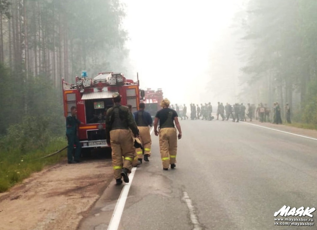 На тушение лесного пожара в Ленобласти недалеко от Соснового Бора брошены большие силы