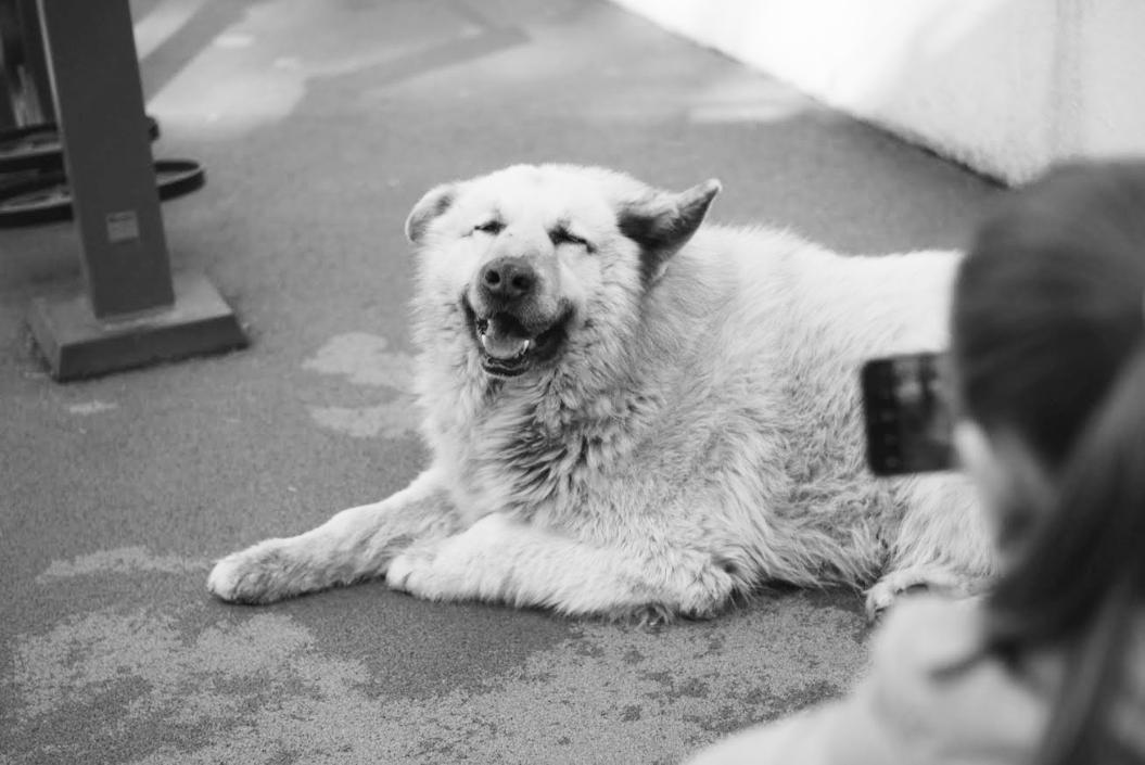 Фото: Людмила Цупко