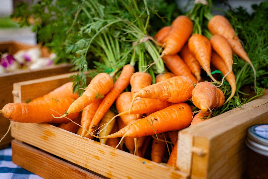 Как посеять морковь, чтобы не заниматься прореживанием