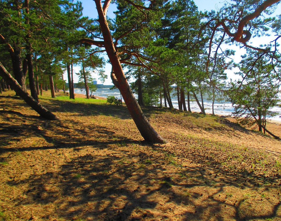 В Ленобласти готовы защитить сосновоборские пляжи от палаток, мангалов и квадроциклов 