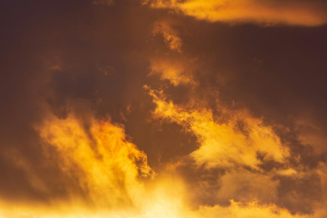 Фото: Unsplash
