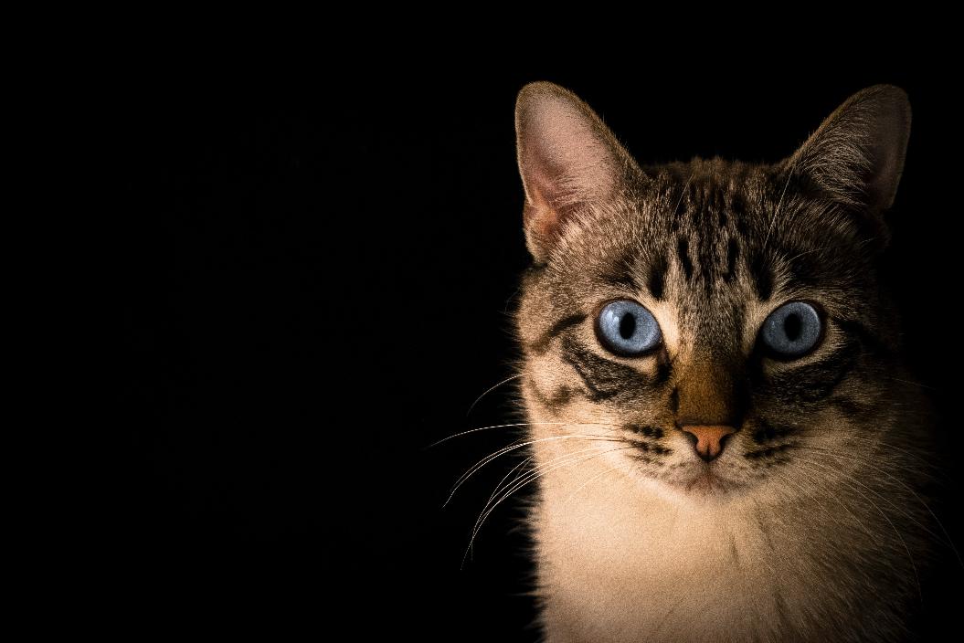 Фото: Unsplash