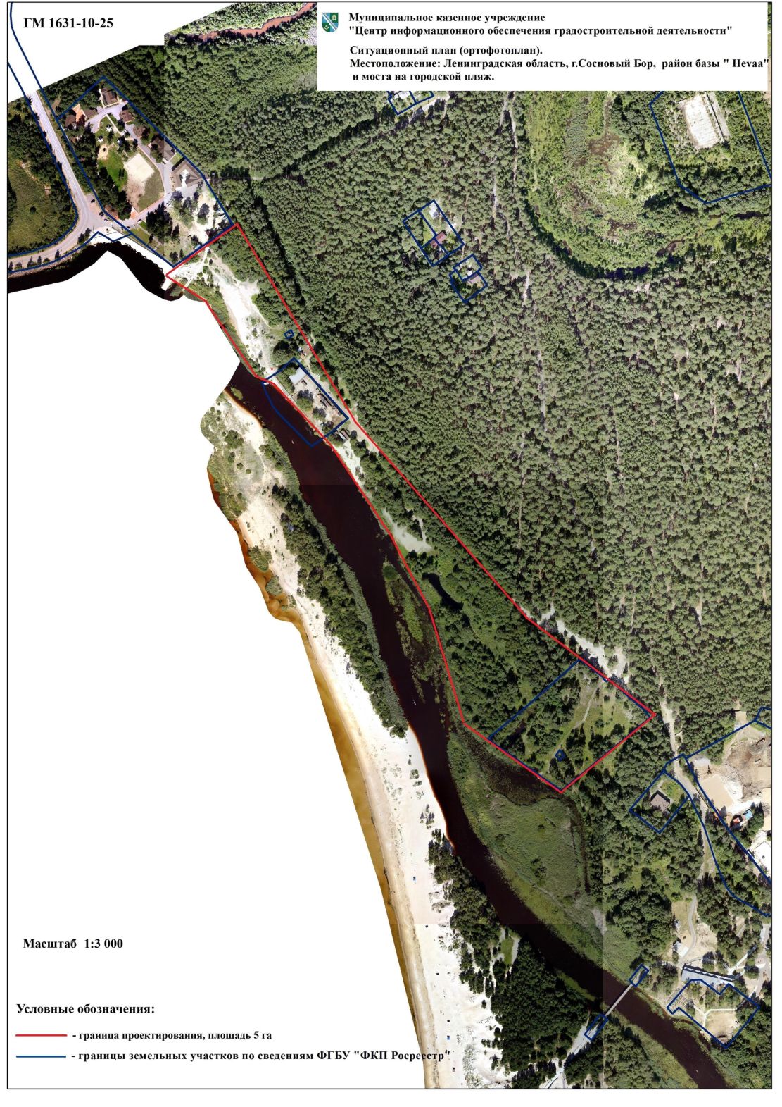 В Сосновом Бору выбрали территорию для участия во Всероссийском конкурсе на благоустройство  в 2026 году
