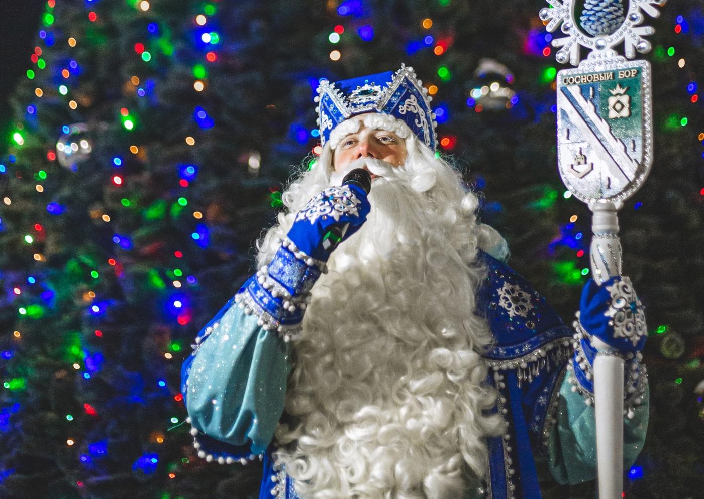 Когда в Сосновом Бору зажгутся большие елки