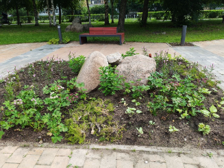 В сквере на Космонавтов в Сосновом Бору высадили многолетние цветы. Ждем, когда зацветут