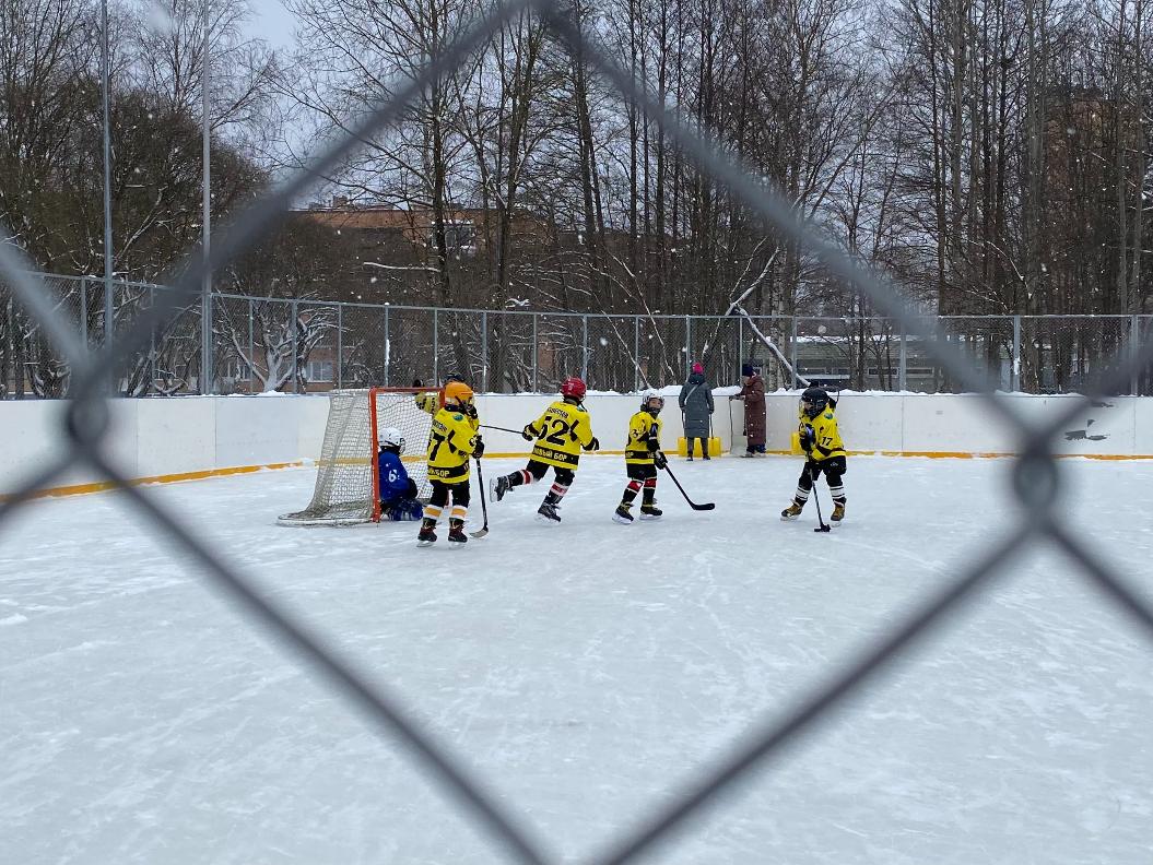 Фото: Анастасия Романова