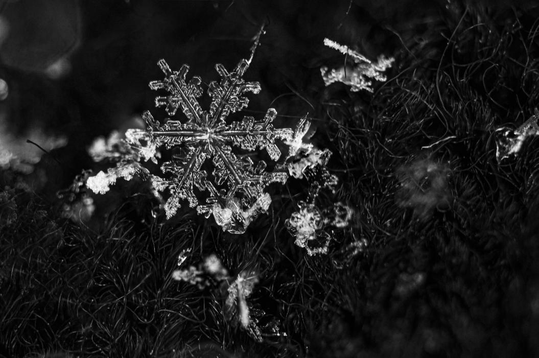 Фото: Unsplash