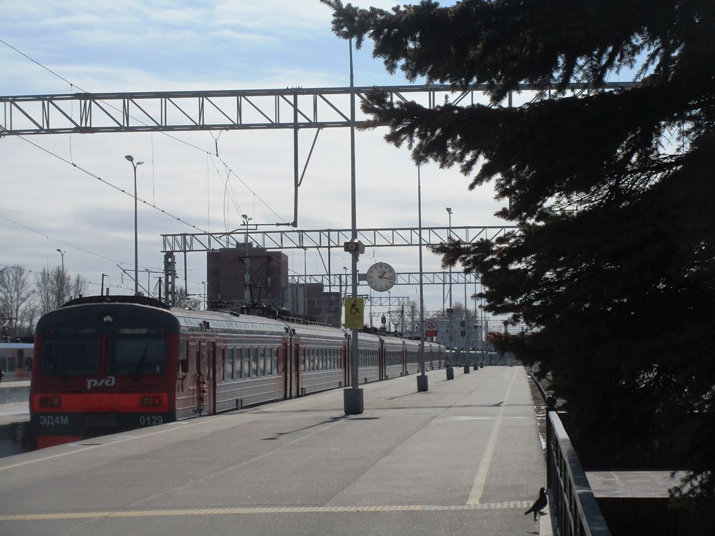 Фото Нины Князевой