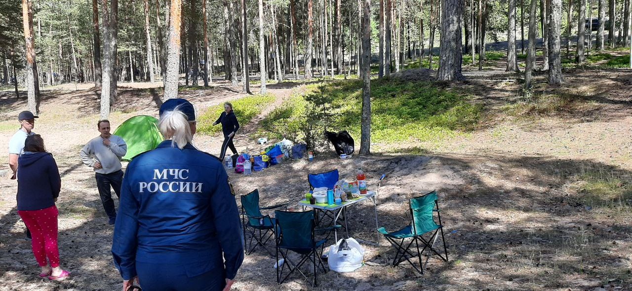 Суммы штрафов за «дикий» отдых на природе  предлагают многократно увеличить. В Сосновом Бору подготовят законодательную инициативу 