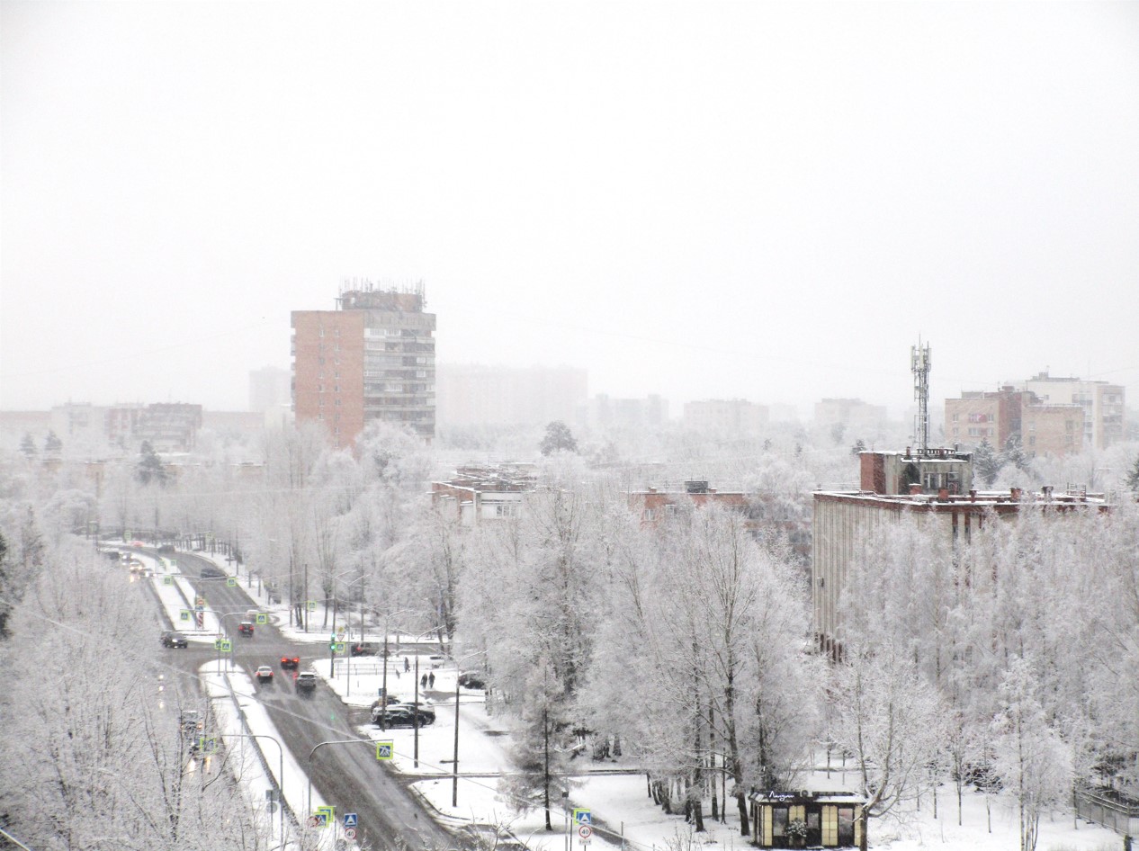 Фото: Нина Князева