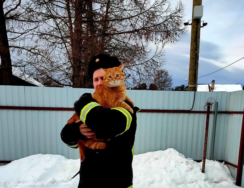 Фото: ОНД и ПР города Сосновый Бор / vk.com