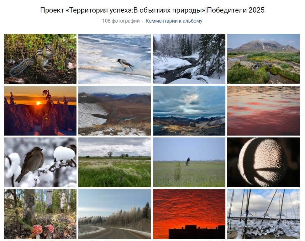 Фотоработы сосновоборских подростков получили признание на конкурсе «Территория успеха: в объятиях природы»