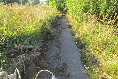 Велосипедная дорожка от Соснового Бора до Липово: она почти есть. (Мы проверили)