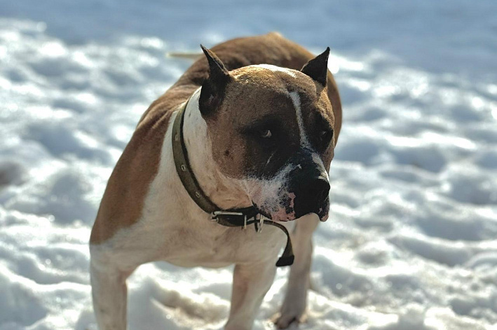 Марик очень ждёт своего человека