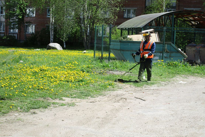 Как в Сосновом Бору заботятся о зеленом наряде города