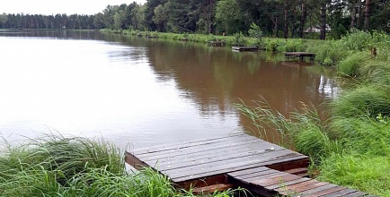 Ковашевский  пруд - под угрозой уничтожения?