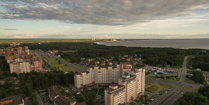 Шесть детских садов в Сосновом Бору объединили в три