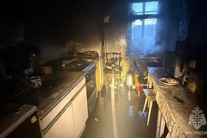 Пожар на кухне и падение дерева на машину. Происшествия в Сосновом Бору на прошлой неделе