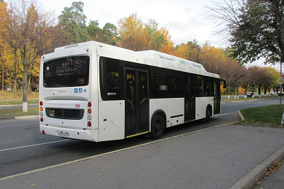 Сосновоборским депутатам рассказали об организации транспортного обслуживания населения