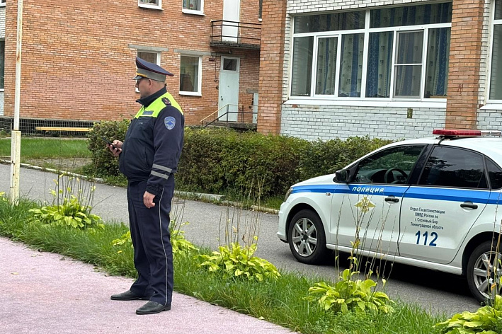 Сотрудники ГАИ Соснового Бора участвуют во Всероссийской неделе безопасности дорожного движения
