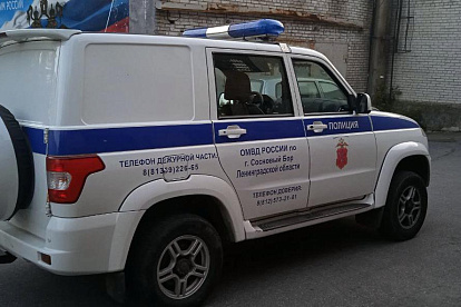 Жителя Соснового Бора задержали за кражу драгоценностей