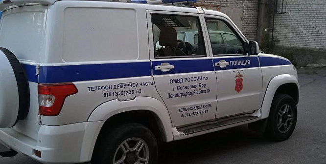Жителя Соснового Бора задержали за кражу драгоценностей