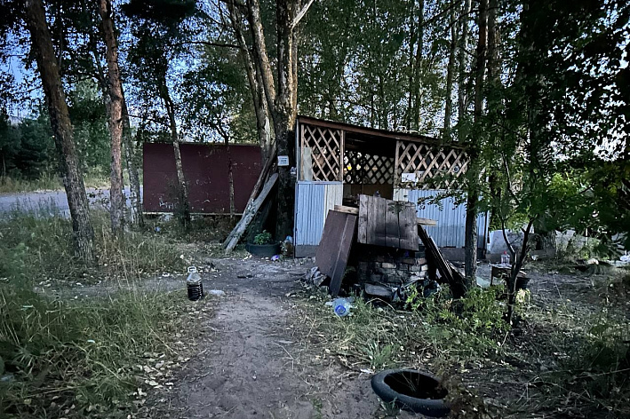 В Сосновом Бору три человека умерли после распития незамерзайки. Следком разбирается в обстоятельствах