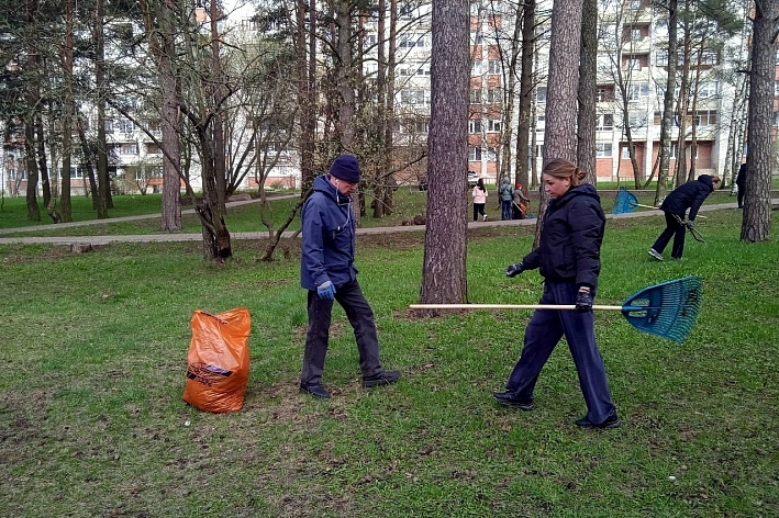 Общегородской субботник в Сосновом Бору намечен на 25 апреля. Жителей приглашают присоединяться 