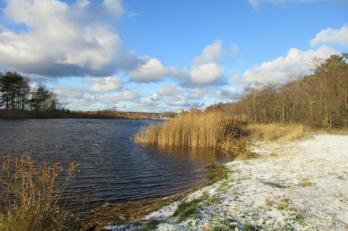 Завершается прием предложений от сосновоборцев по благоустройству берега Коваша