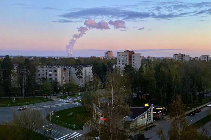 Сосновоборцам напомнили о правилах безопасности на пешеходных переходах