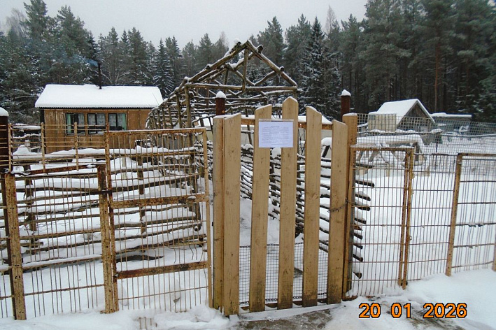 Заборы, теплицы и строения предлагают вывезти добровольно. Участки под ЛЭП очистят от незаконных построек