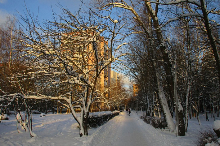 Какой будет погода в январе-2026 в Петербурге и Ленобласти: ожидаются два сюрприза