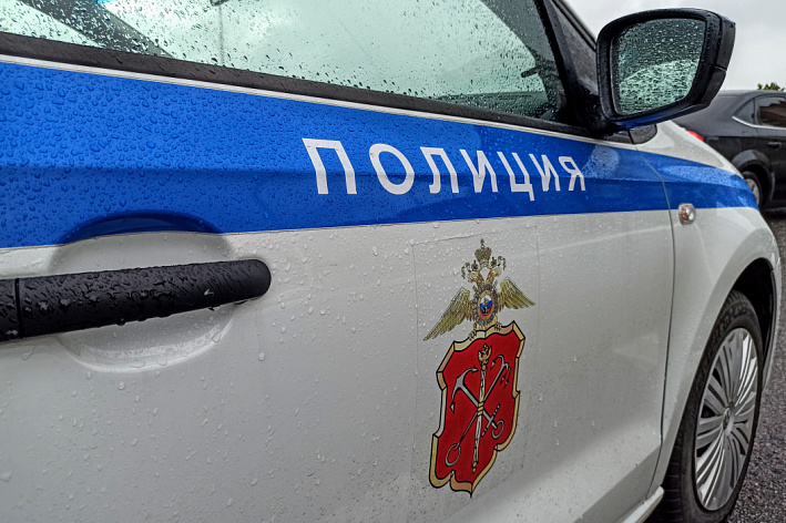 Полицейские провели рейды на дороге в промзоне Соснового Бора