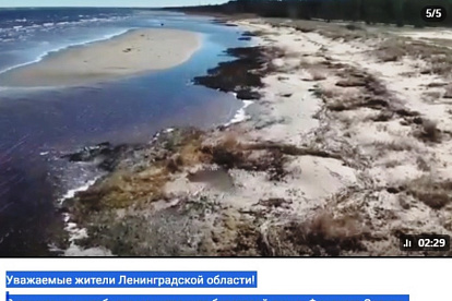 Губернатор Ленобласти рассказал подробности о загрязнении Финского залива 
