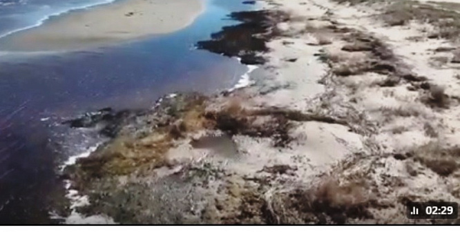 Губернатор Ленобласти рассказал подробности о загрязнении Финского залива 