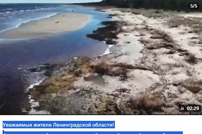 Губернатор Ленобласти рассказал подробности о загрязнении Финского залива 