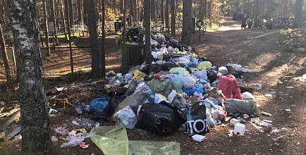 «Могилы — не помойка». Кладбище в Систо-Палкино  очистили от гор мусора после обращения горожанки