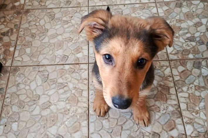 Дружелюбная девочка ищет тепло и заботу