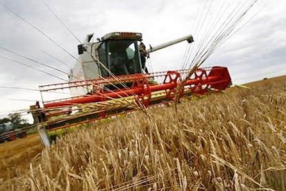 В России разрешили  выращивать ГМО-культуры