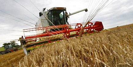 В России разрешили  выращивать ГМО-культуры