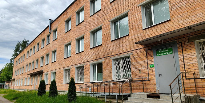 Депутаты Соснового Бора обсудили работу городского роддома